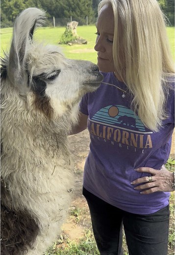 How to Meet a Llama: Best Tips for Interactions
