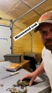 56K views · 293 reactions | How to clean a crab to microwave it, taste like a steam crab….. #Maryland #crabbing #crabs #Louisiana #cajun #cajunfood | WhiteBoot Warriors | Facebook