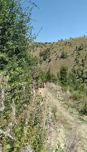 IMT.579 (@imt_79)’s videos with Pushka e Lirisë - Gold AG