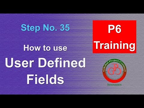 🔴 How to use User Defined Fields (UDF) in Primavera P6