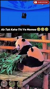 You Can’t Stop Laughing 😂 Minecraft Funny Moments #shorts #minecraft #memes