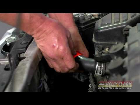 Quick Fix For Leaky Radiator Hose | Kelly Clark Automotive Specialists