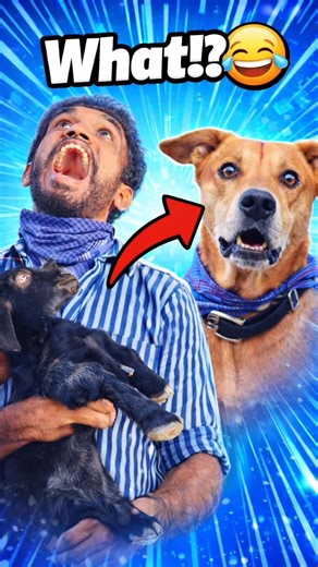 🤣Funny Kidnapper with Dog🐕♥️ vs Angry Goat🐐😂 #doglover #doglove #puppies #funny #shorts