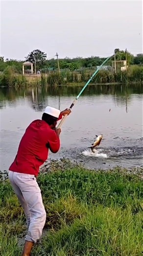 River Rohu fish style catching fisherman #fishing #riverfishing #rohu_fishing #bigfish