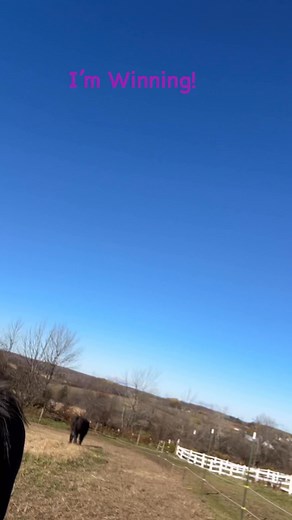 If I can do my horse chores in my pajamas, I’M WINNING!! 😂 #horsechores | Jodi Lee