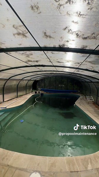 Pro Pool Maintenance: Transform Your Summer Oasis