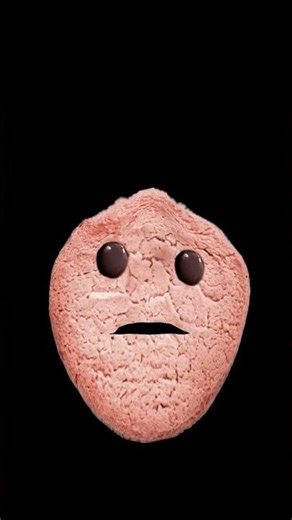 ۸ دسامبر ۲۰۲۵