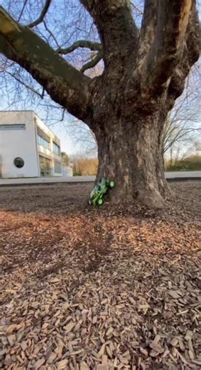 Rc BUGGY backflip Wltoys 12428