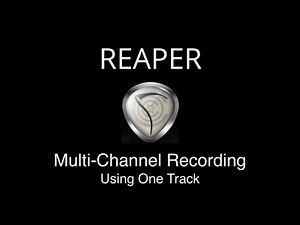 Multi-Channel Recording Using One Track in REAPER
