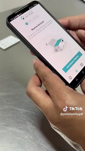 Prueba de Parvovirus en Perros: Paso a Paso