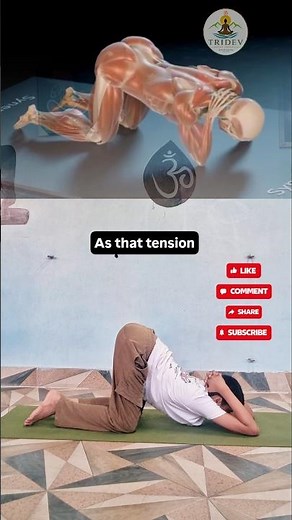 Best Shoulder Stretch Routine for Pain Relief & Mobility