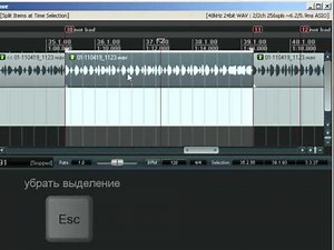 Reaper Cockos для начинающих | Создаем свой трек (часть 2)