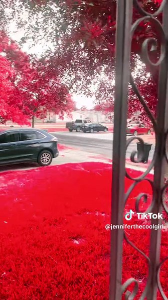 Jennifer 🌺❌❌1️⃣9️⃣7️⃣5️⃣❌❌ (@jenniferthecoolgirl)’s videos with original sound - Jennifer 🌺❌❌1️⃣9️⃣7️⃣5️⃣❌❌