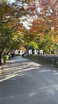 【京都 長楽寺】秋が深まる京都🍁東山三十六峰の中心・長楽寺の旅 #京都 #長楽寺 #そうだ京都行こう #寺 #紅葉 #御朱印#Kyoto #japan #templ