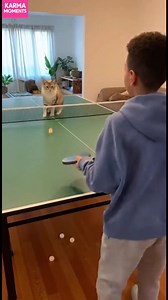 2.2M views · 8K reactions | Cat's Ping Pong Challenge Watch a boy try to play ping pong with an uninterested cat! #fblifestyle #AI Generated using Kling AI . . . (For entertainment purposes only. Consult professionals if guidance on activities is presented. No brand affiliation is implied if any are shown. If inspired by true events, creative adaptations may be included. Content may include public footage.) | Family World | Facebook