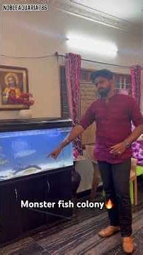 Monster fish colony🔥⚠️