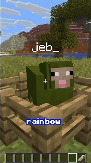 Secret Name Tags in Minecraft 🤫🤫🤫 #minecraft #gaming