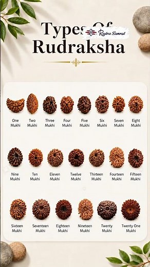 How Many Types of Rudraksha Exist? The Truth About 1 to 38 Mukhi Rudraksha Explained