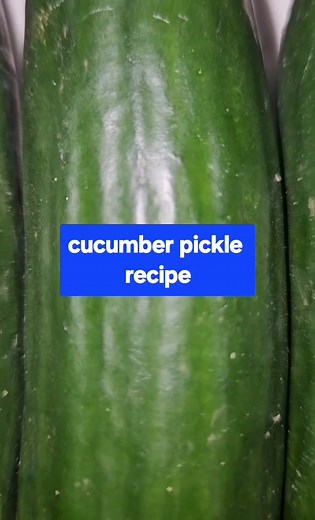 440 reactions · 52 shares | Simple and easy cucumber pickle recipe #homemade #cucumberpickle #fbreels | Momlysaussie Vlog | Facebook