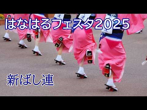 【阿波踊り2025】はなはるフェスタ2025 阿波おどり 新ばし連