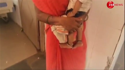 Child bites and kills a baby snake, mistaking it for a toy | Video goes viral. #ViralVideo #ChildAndSnake #Snakes | Zee News English