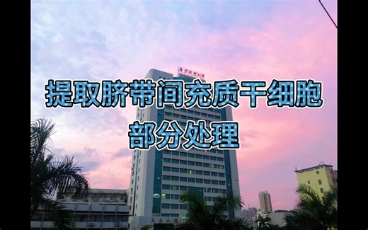 脐带间充质干细胞的提取（部分处理过程）