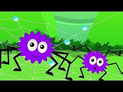 Incy Wincy แมงมุม | แมงมุมเพลงสำหรับเด็ก | Nursery Rhymes | incy Wincy Spider | Thai Kids Song