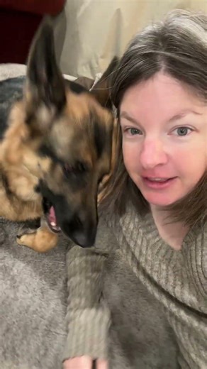 Dog bed perfect for those extra large dogs