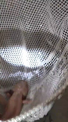 We Saved 2 Axolotls And... #explore #fishing | The Fish Guys