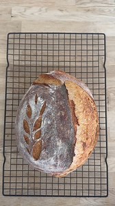 Simply put, bread is comfort delivered. A little warmth, a little love, all in one loaf. 🍞❤️ | Meal Train