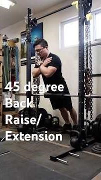 45 degree back raise extension | exercise explained