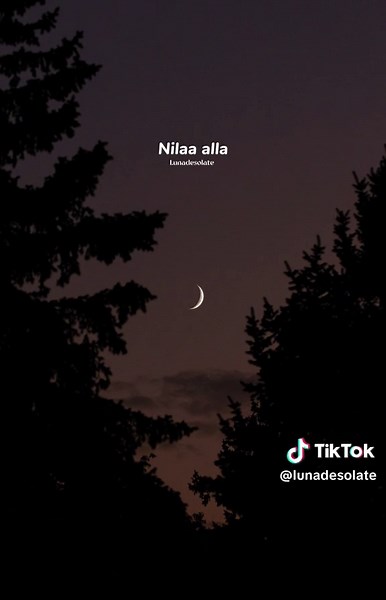 SPB Tamil Songs Collection for Love and Romance