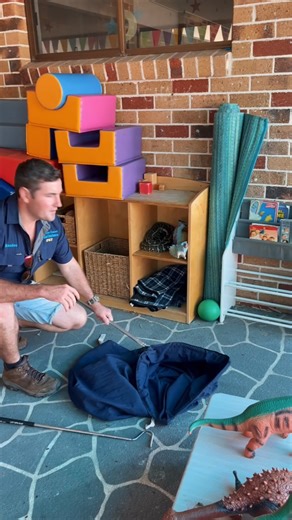 102K views · 1.7K reactions | Back to Back Coastal Carpet Python Callouts! We have got Brandon (Giffo) & Stu on call today relocating some gorgeous Python’s from some unusual spots! Both snakes were placed back into the safety of the bush :) | Sunshine Coast Snake Catchers 24/7 | Facebook