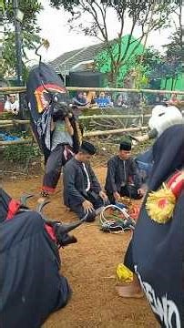 BANTENG BOLO DEWO On Java Cultural | #short #seni #budaya #carnaval #sports #trip #subscribe