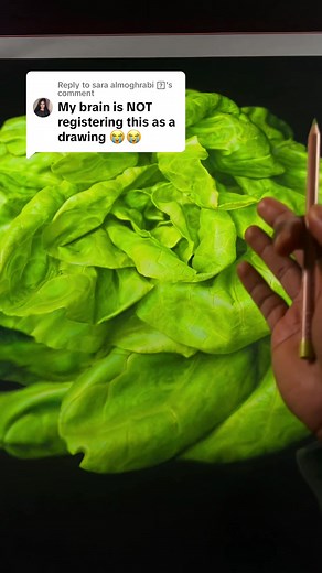 Exploring Colored Pencil Drawing Techniques and Tips