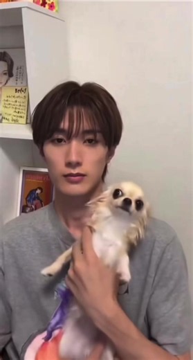 じゅうちゃん🤍✖︎わんちゃん🐶 #山中柔太朗 #milk #みるきーず #可愛い