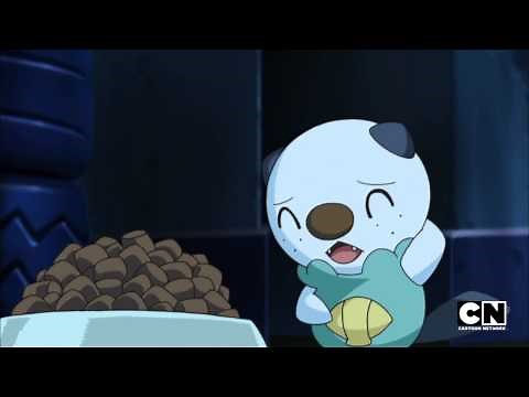 Funny Pikachu & Oshawott Moment - BW105