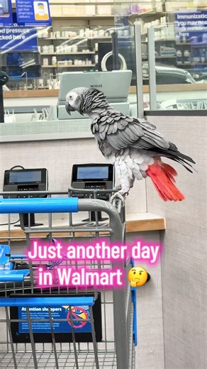 Just Another Day in Walmart: Funny Customer Moments
