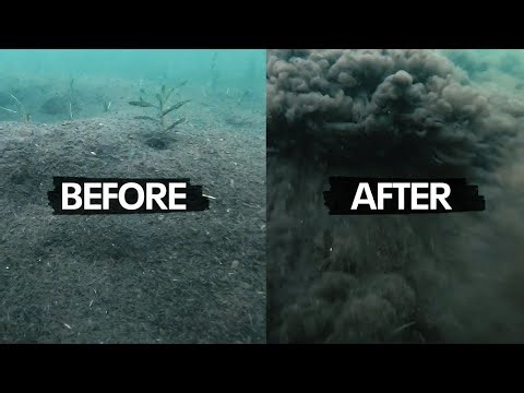 Underwater cameras reveal wakesurfing impacts on lakes