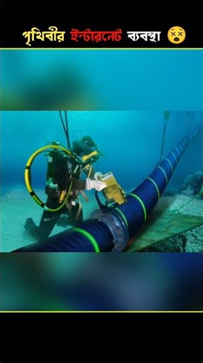 ইন্টারনেট কোথায় থেকে আসে?😵 #facts #viralvideo