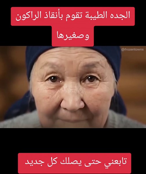 الحياه في البرد القارس ............❤️............ الجده الطيبة تقوم بأنقاذ الراكون وصغيرها قصه جميله تستحق المشاهده