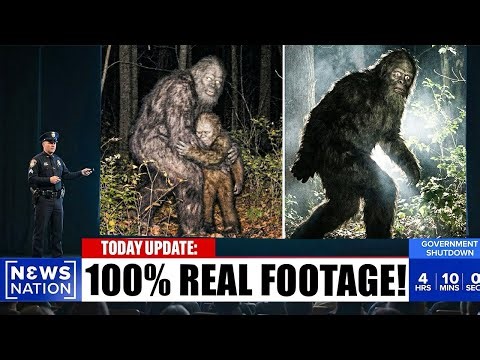 They Shot It… It Didn’t Fall — New 4K Footage Shows Bigfoot Taking a Rifle Shot