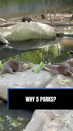 I visited all 5 Mandai parks to see what's different