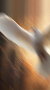 How Jesus cast out demons #bibledaily #LoveGod | Realbiblestories