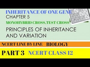 Part-3 PRINCIPLES OF INHERITANCE AND VARIATION(TEST CROSS) chapter-5 NCERT class 12th Biology