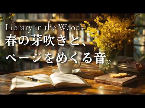 Forest Library in Spring. Deepen Your Thoughts with the Aroma of Old Books & Intellectual Jazz.