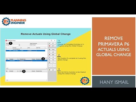 Remove Primavera P6 Actuals using Global Change