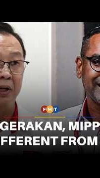 Gerakan, MIPP no different from DAP, pundit says over opposition to PAS