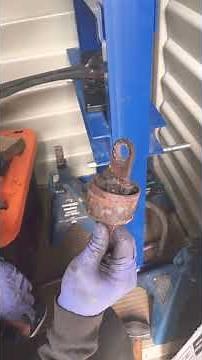 Ford Escape Rear Trailing Arm Bushings