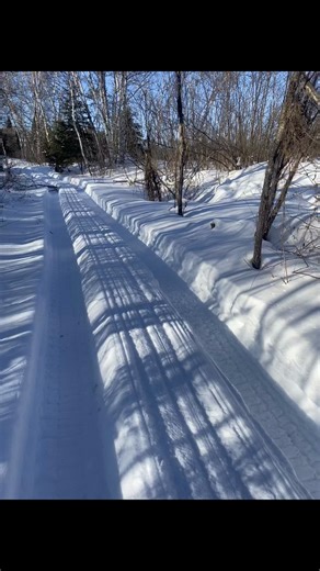 Petit trouvaille un nid oiseau mouche #promenade #nature #naturelover #naturebeauty #naturevibes